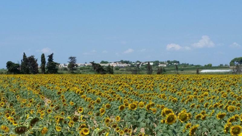 Villa Manet Portiragnes Εξωτερικό φωτογραφία